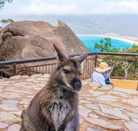 Wineglass Bay  Freycinet NP Full Day Tour from Hobart via Richmond Village - Brisbane Tourism