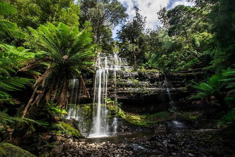 3-Day West Coast Tasmania Tour From Hobart Including Cradle Mountain, Montezuma Falls And Strahan - Brisbane Tourism 3