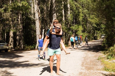 7-Day Best Of Tasmania Adventure Experience From Hobart (flexible Ticket) - Brisbane Tourism 5