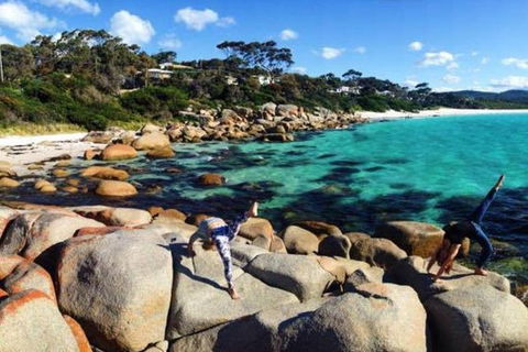 4-Day Tasmania East Coast Adventure From Launceston To Hobart Including Bay Of Fires, Wineglass Bay, Bruny Island And Port Arthu - Tourism Brisbane 0