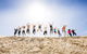 4-Day Tasmania East Coast Adventure From Launceston To Hobart Including Bay Of Fires, Wineglass Bay, Bruny Island And Port Arthu - thumb 7
