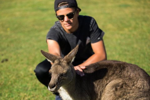 4-Day Tasmania East Coast Adventure From Launceston To Hobart Including Bay Of Fires, Wineglass Bay, Bruny Island And Port Arthu - Tourism Brisbane 6