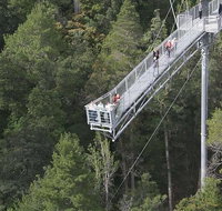 Cruise Ship Special from Hobart Mt Wellington and Tahune AirWalk - Brisbane Tourism