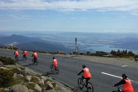 Mount Wellington Descent Cycling Tour Departs Hobart - Brisbane Tourism 7