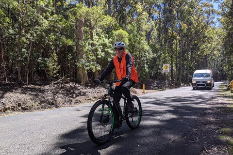 Mount Wellington Descent Cycling Tour Departs Hobart - Brisbane Tourism 10