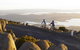 Mount Wellington Descent Cycling Tour Departs Hobart - thumb 5