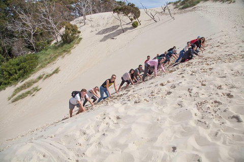3 Day Tasmanian Wild West Coast Tour From Hobart To Launceston - Brisbane Tourism 8