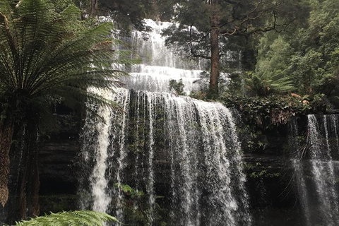 Wilderness And Wildlife - Brisbane Tourism 1