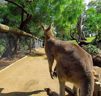 Wilderness and Wildlife - Brisbane Tourism