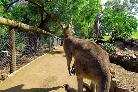 Wilderness And Wildlife - Brisbane Tourism 0
