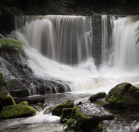 Mt Field National Park premium private photo-oriented day tour from Hobart - Brisbane Tourism