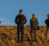 Small Group Tasmanias Wilderness And Wildlife Day Tour - Brisbane Tourism