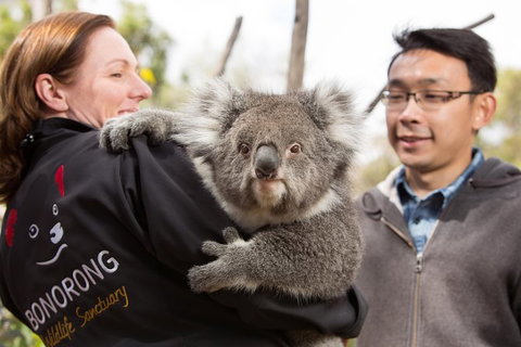 Bonorong Wildlife Park And Richmond Afternoon Tour From Hobart - Brisbane Tourism 7