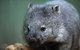 Small-group Tour From Hobart: Derwent River Valley And Coal River Valley - thumb 3