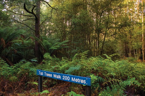 Small-group Tour From Hobart: Derwent River Valley And Coal River Valley - Brisbane Tourism 7