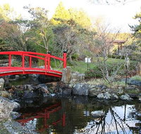 Small-group tour from Hobart Native Flora and Fauna incl. Royal Bot. Gardens - Brisbane Tourism