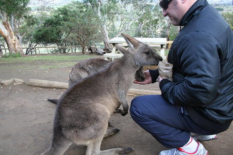 Small-group Tour From Hobart: Native Flora And Fauna, Incl. Royal Bot. Gardens - Brisbane Tourism 1