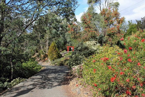 Small-group Tour From Hobart: Native Flora And Fauna, Incl. Royal Bot. Gardens - Brisbane Tourism 11