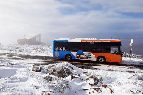 Kunany / Mt Wellington Explorer Bus - 2 Hour Return Tour - Brisbane Tourism 7