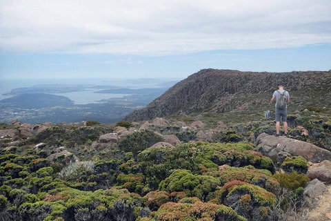 Kunany / Mt Wellington Explorer Bus - 2 Hour Return Tour - Brisbane Tourism 4