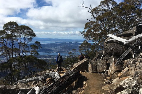 Kunany / Mt Wellington Explorer Bus - 2 Hour Return Tour - Brisbane Tourism 9