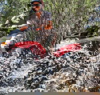 Quad Bike 2-Hour Adventure Freycinet National Park - Brisbane 4u