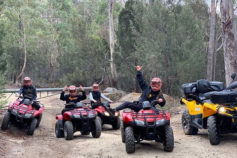 Quad Bike 2-Hour Adventure: Freycinet National Park - Tourism Brisbane 4