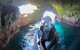 Maria Island Cruise + Walk. Renowned Day Tour With Drinks And Guided Walk - thumb 4