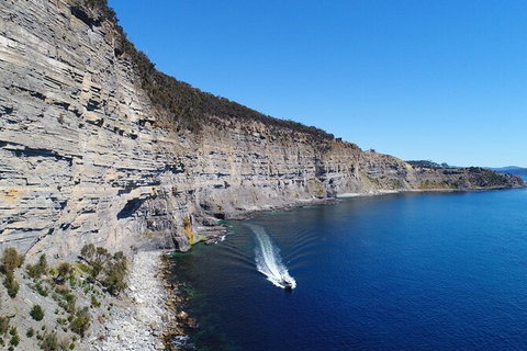 Maria Island Cruise + Walk. Renowned Day Tour With Drinks And Guided Walk - Brisbane Tourism 13