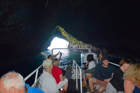 Maria Island Cruise + Walk. Renowned Day Tour With Drinks And Guided Walk - Brisbane Tourism 11