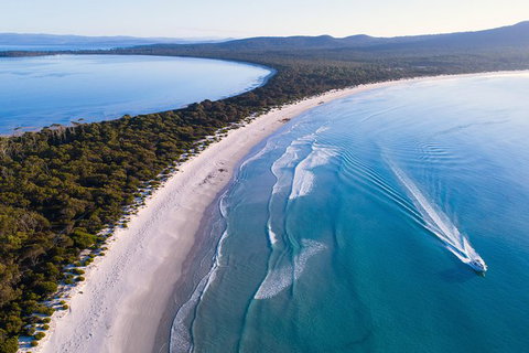 Maria Island Cruise + Walk. Renowned Day Tour With Drinks And Guided Walk - Brisbane Tourism 2