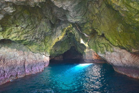 Maria Island Cruise + Walk. Renowned Day Tour With Drinks And Guided Walk - Brisbane Tourism 5