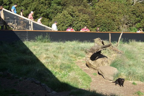 Day Keeper Tour - Brisbane Tourism 1