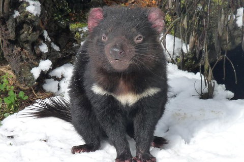 Day Keeper Tour - Brisbane Tourism 3