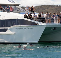 The Peppermint Bay Lunch Cruise from Hobart - Brisbane Tourism