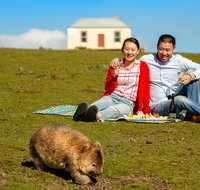 Wineglass Bay And Maria Island Wildlife Scenic Flight From Hobart - Brisbane Tourism
