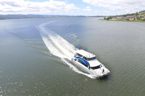 2.5 Hour Morning Discovery Cruise Including Sailing Into The Cataract Gorge - Tourism Brisbane 0
