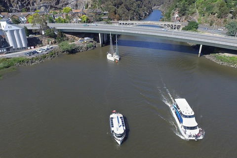 2.5 Hour Morning Discovery Cruise Including Sailing Into The Cataract Gorge - Tourism Brisbane 4
