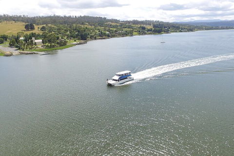 2.5 Hour Morning Discovery Cruise Including Sailing Into The Cataract Gorge - Tourism Brisbane 6