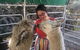 Farm Visit - thumb 1