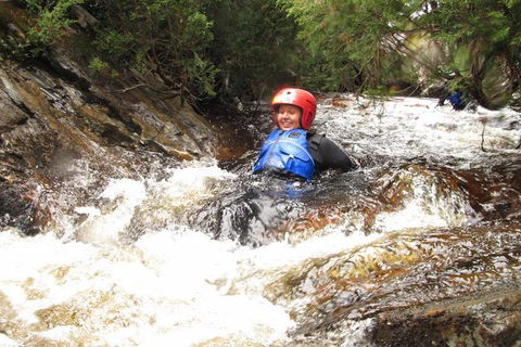 Half Day Cradle Mountain Canyoning: Lost World Canyon - Brisbane Tourism 0