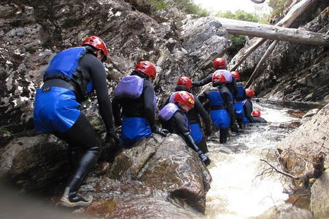 Half Day Cradle Mountain Canyoning: Lost World Canyon - Brisbane Tourism 1