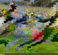 Mclaren Vale Luxury Full Day Small Group Wine Tour - Tourism Brisbane