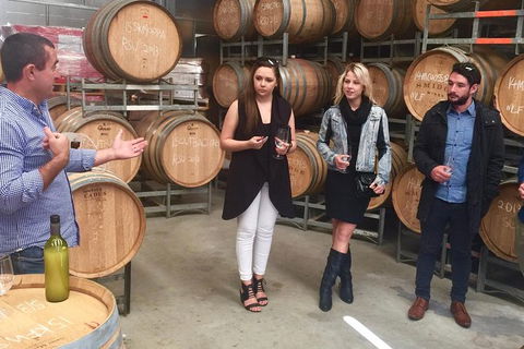 Mclaren Vale Luxury Full Day Small Group Wine Tour - Tourism Brisbane 8
