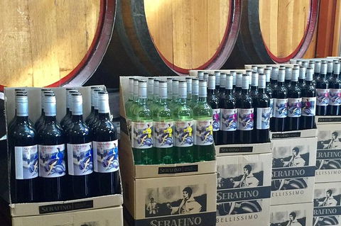 Mclaren Vale Luxury Full Day Small Group Wine Tour - Tourism Brisbane 10