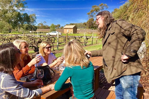 Mclaren Vale Luxury Full Day Small Group Wine Tour - Tourism Brisbane 6