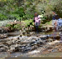 Small Group Bush Walk  BBQ with Wine Day Trip from Adelaide - Tourism Brisbane