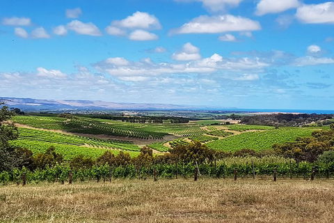 Micro-Group McLaren Vale Wine Tour From Adelaide - Tourism Brisbane 4