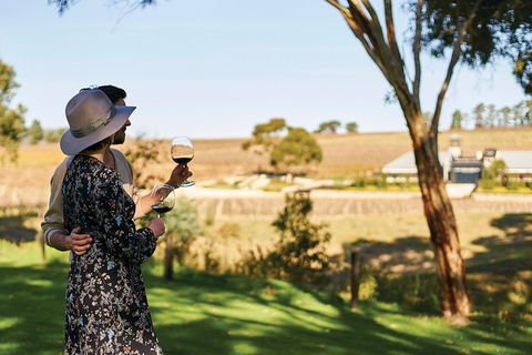 Micro-Group McLaren Vale Wine Tour From Adelaide - Tourism Brisbane 7