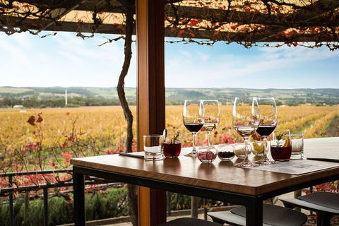 Micro-Group McLaren Vale Wine Tour From Adelaide - Tourism Brisbane 2
